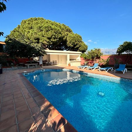 Residence Antonia Appartements Avec Piscine Commune - Centre Ville Calvi 卡尔维 外观 照片