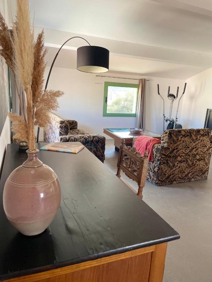Residence Antonia Appartements Avec Piscine Commune - Centre Ville Calvi 卡尔维 外观 照片