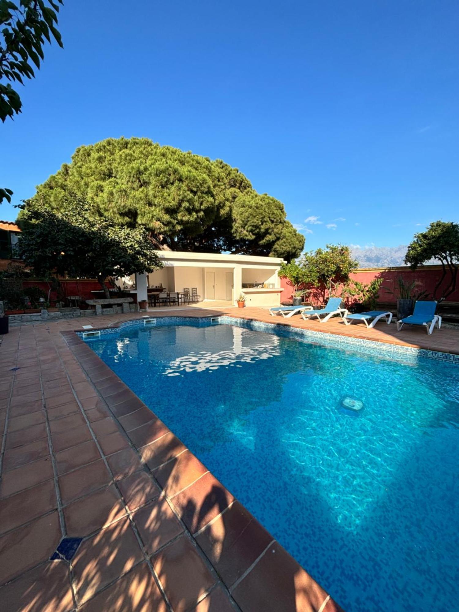 Residence Antonia Appartements Avec Piscine Commune - Centre Ville Calvi 卡尔维 外观 照片