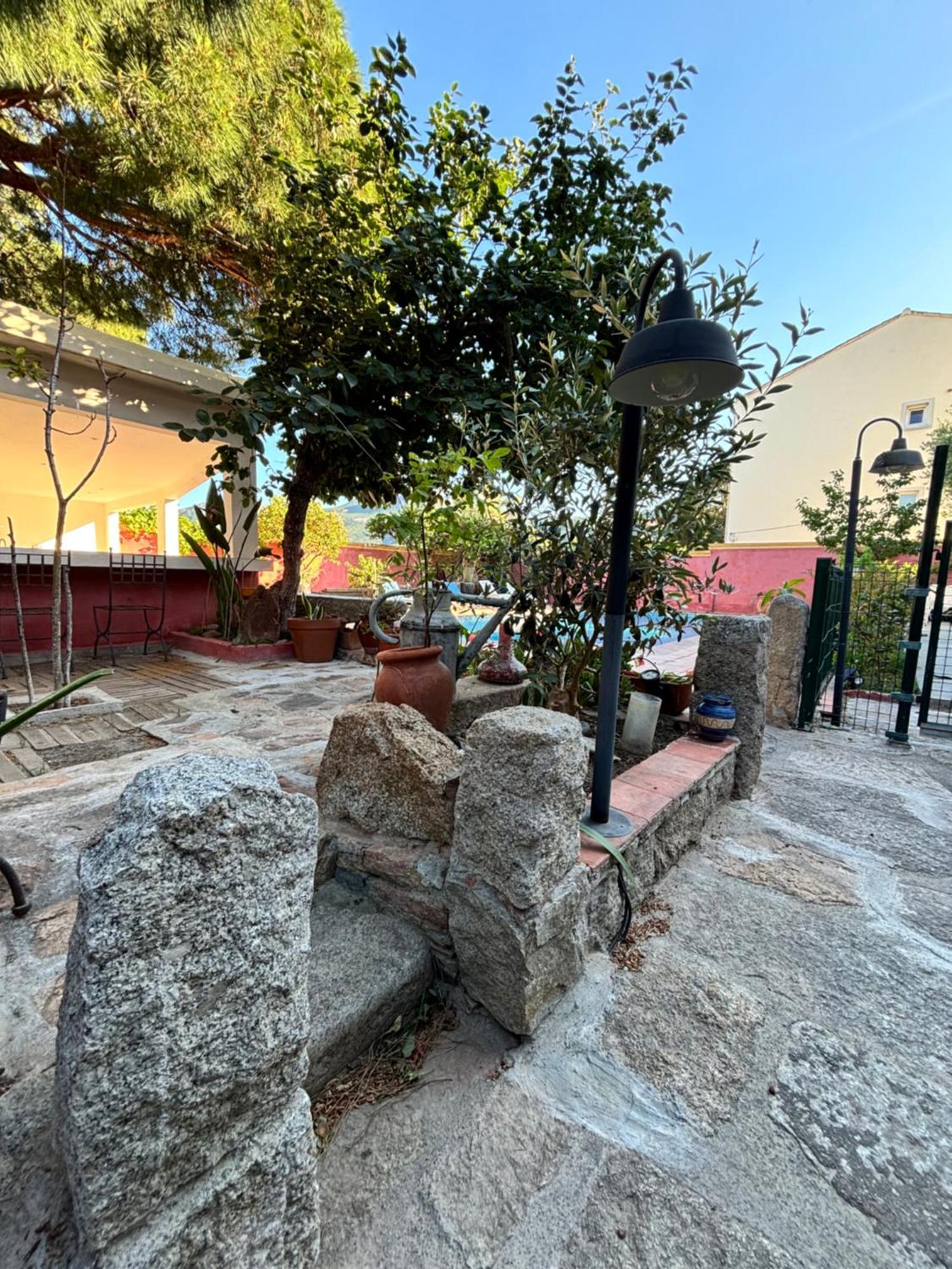 Residence Antonia Appartements Avec Piscine Commune - Centre Ville Calvi 卡尔维 外观 照片